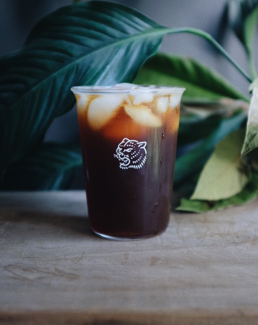 CY x Kinto Glass