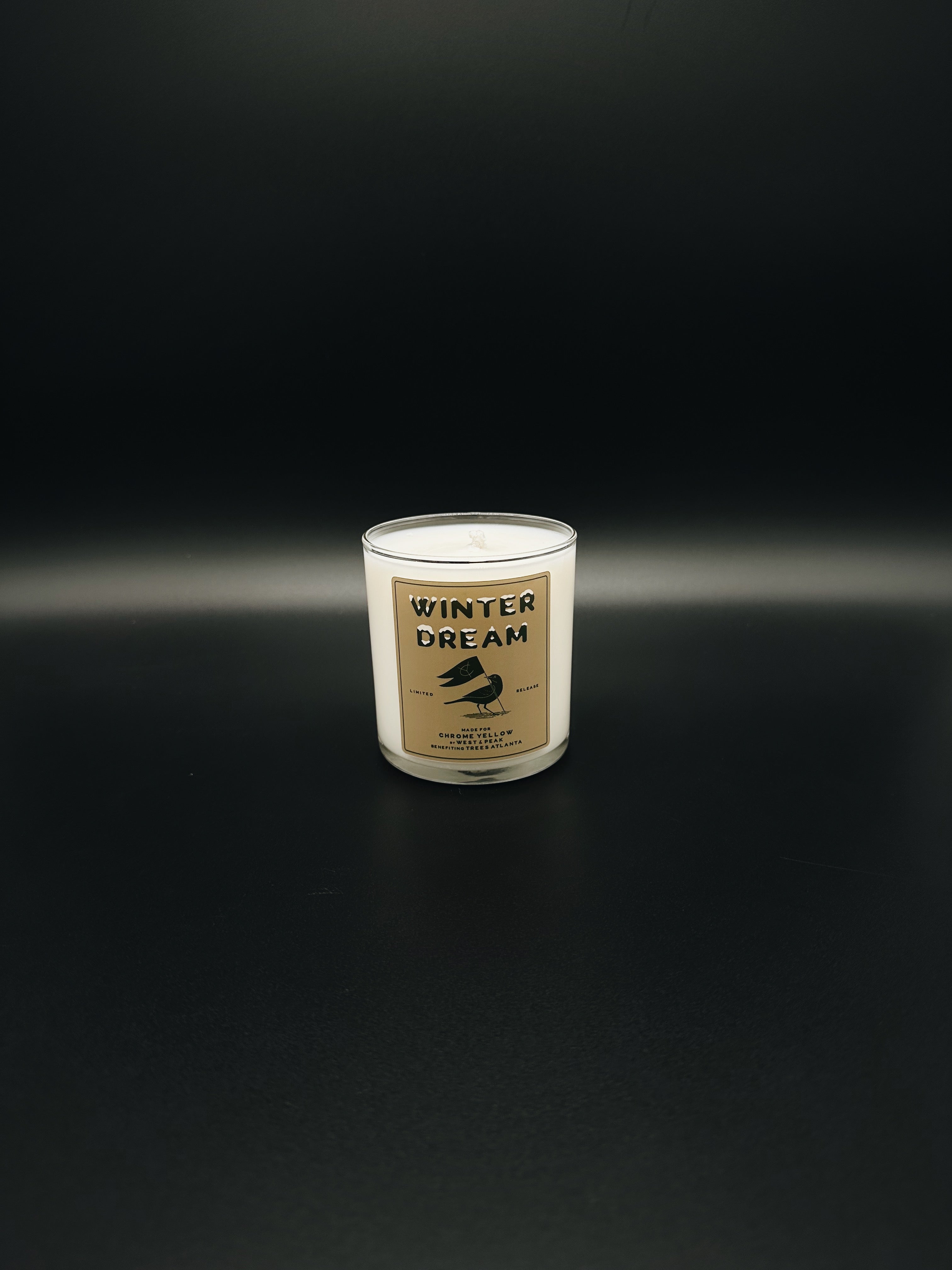 Winter Dream Candle